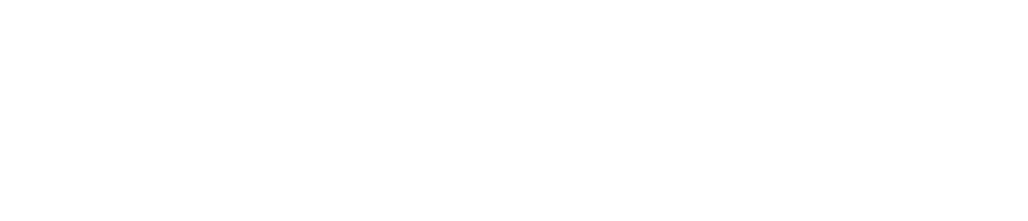 2. Dünya cPNI Kongresi